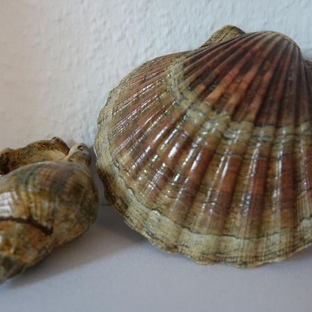 Ferienwohnung Kiel Bagian luar foto
