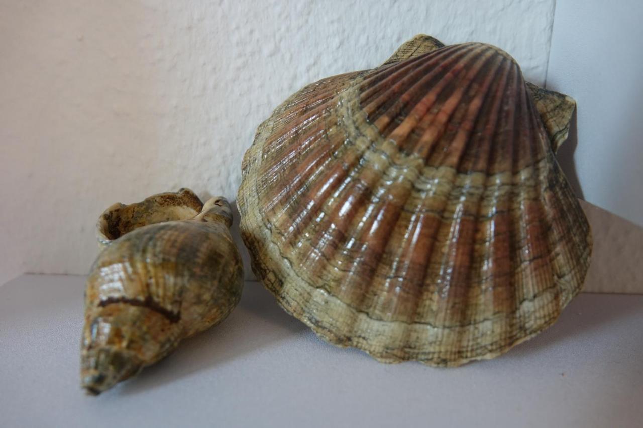 Ferienwohnung Kiel Bagian luar foto